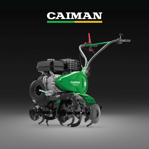    CAIMAN TERRO 60H C2, 4.48 ..   -     , -, 