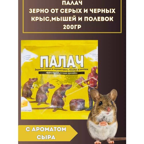 ���� ����� �� ���� � ����� 200��, ������ �� 150 ���