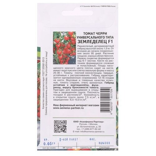 ���� ������ ����� 