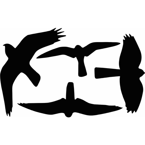 ���� �������� �� ���� ��� ����������� ���� (21 x 30) �� - V5, ������ �� 500 ���