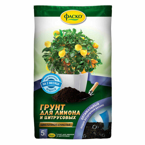 ���� ���������� ��� ���������� �������� ����� 5�, ������ �� 299 ���