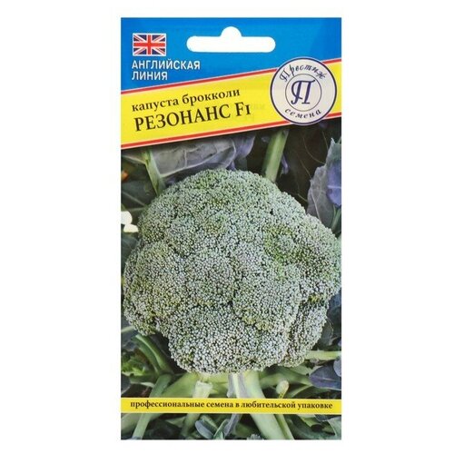 ���� ������ ������� �������� 