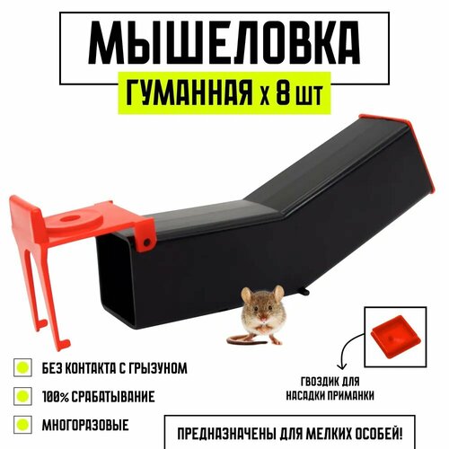   ,   , ,  ,  , , 8 ,   958 