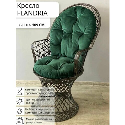 ���� ���������� ������ �������, ������� ���� ��� ����, ���� ������� �� ���������, ������ ��� ����, ������ �������, Ajurio, ������ �� 17253 ���