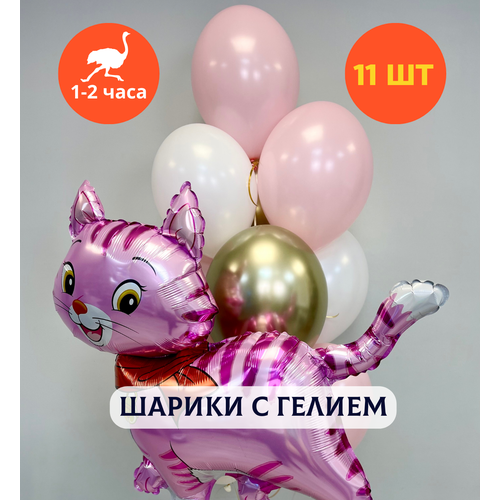 ���� ������ ��������� �� ���� ��������, ��������� ���� � ������, ���� � ���� ��������, ����� ����� ��� ������� 