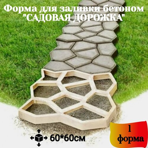 ���� ����� ��� ������� 