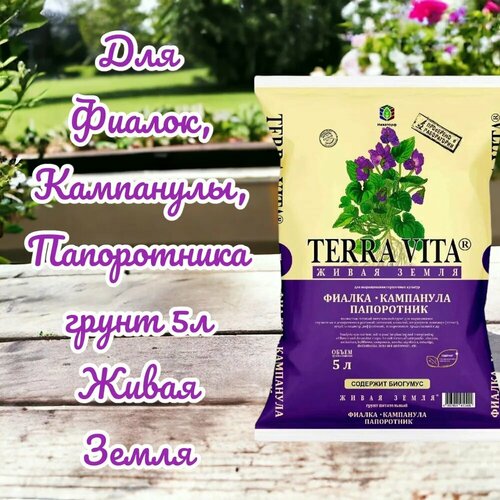 ���� ��� ������, ���������, ����������� ����� 5� ����� �����, ������ �� 410 ���