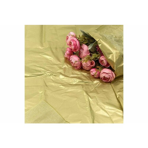 ���� ����������� ������, ����� (0,5*0,65 �) ������, 10 ��., ������ �� 388 ���