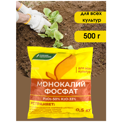 ���� ��������� ��������������� (���������� �����), 0,5 ��, 1 �������� �� 500 �., ������ �� 275 ���