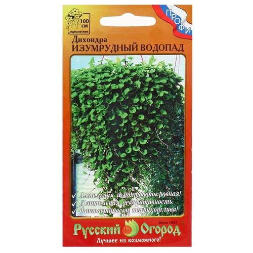 ���� ������ ������� ������ �������� ���������� �������, ������ �� 260 ���