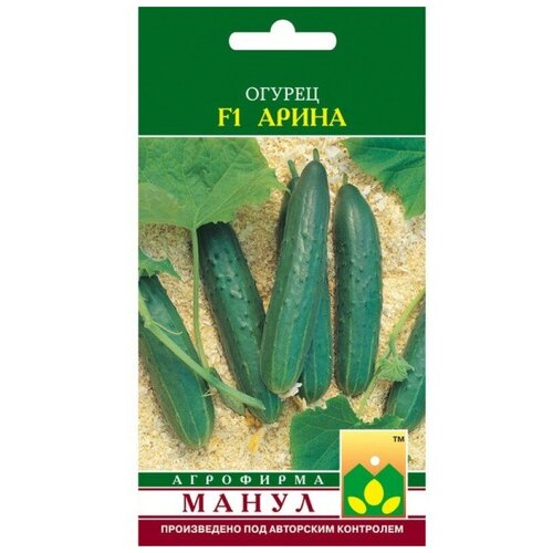 ���� ������ ����� 