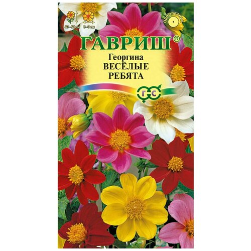 ���� ������ �������� ������� ������, 0,3�, ������, ��������� ���������, 10 ��������, ������ �� 48 ���