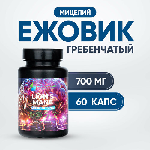 ���� ������ �����������, 60 ������ �� 700 ��., ������ �� 451 ���