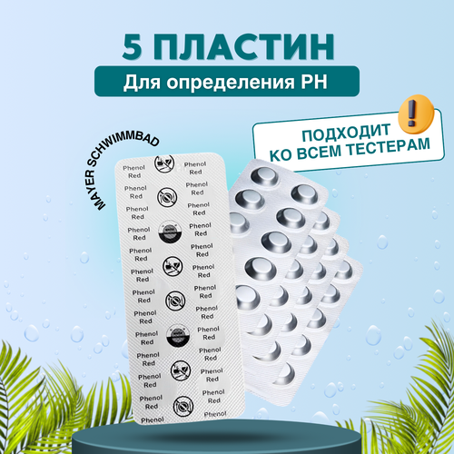 ���� �������� 