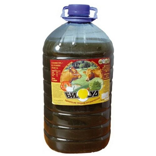 ���� ������ ������� ����� 