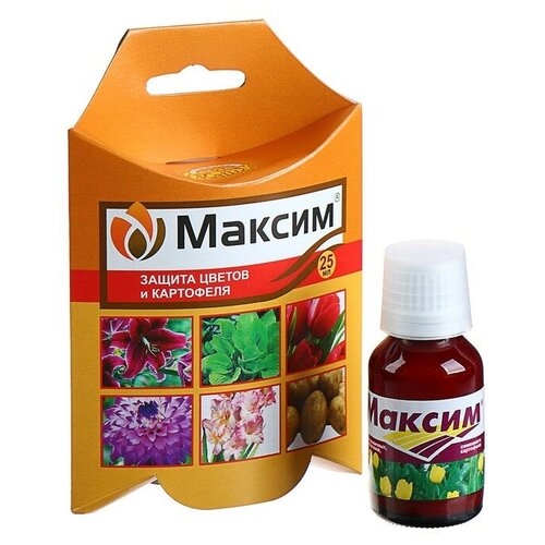 ���� ���� ��������� �������� �� �������� �������� ������, 25 ��, 75 �, ������ �� 500 ���