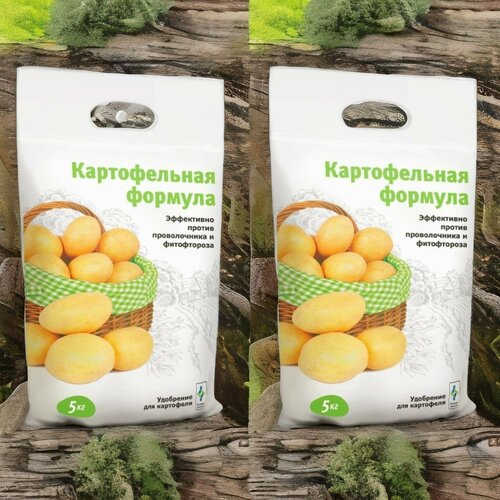 ���� ������������ �������, ��������� ��� ��������� 5�� / 2��, ������ �� 1305 ���