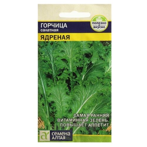 ���� ������ ������� 