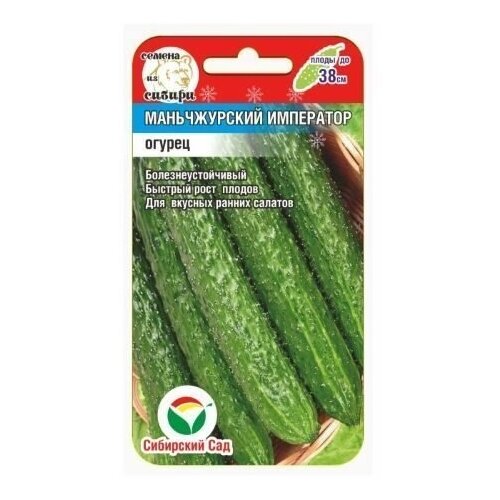 ���� ������������ ��������� 7�� ������ (��� ���), ������ �� 304 ���