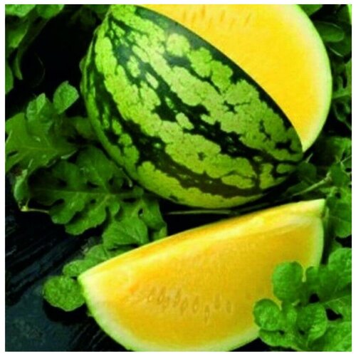 ���� ������ ������ ����� ����� ������ 10 ��., ������ �� 250 ���