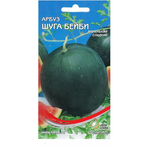 ���� ����� ���� �����, 8 �����, ������ �� 232 ���