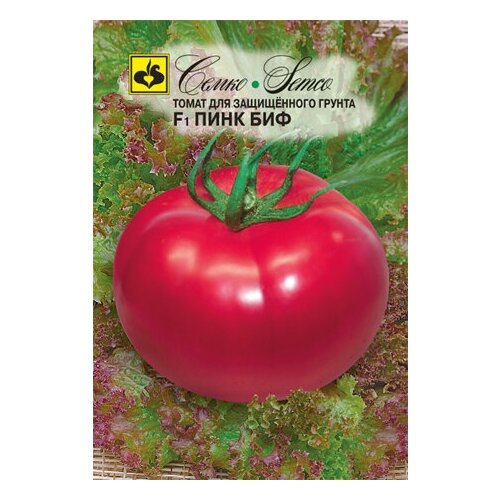 ���� ����� 