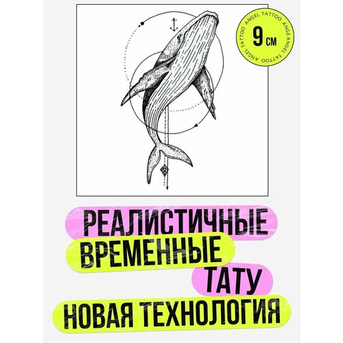 ���� ��������� ���������� ��� �������� ���, ������ �� 412 ���