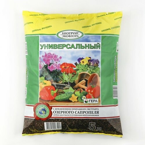 ���� ����� �������������, �������� ��������, 5 �, ������ �� 486 ���