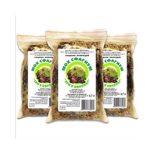 ���� ��� ������� ��� � ������, 0.7 �, ������ �� 580 ���