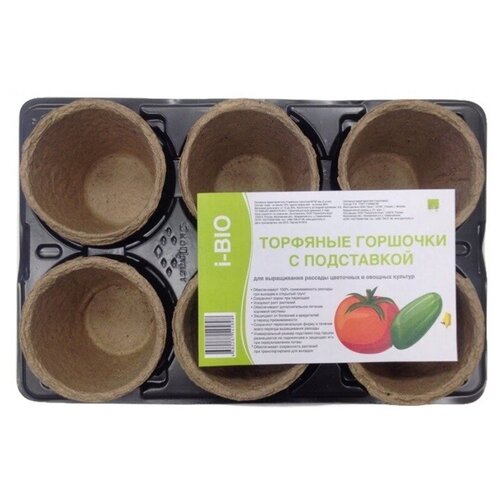 ���� ����� �������� ������� ��� ������� ��������� 6�� 8�8�� � ����������, ������ �� 99 ���