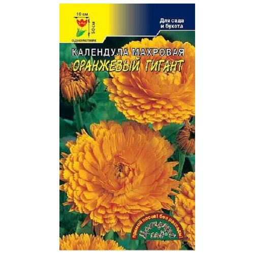 ���� ������ �������� ��� 