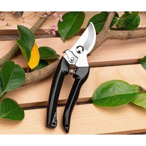 ���� ������� ������, ������ �� 359 ���