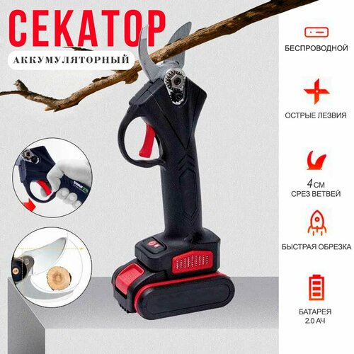 ���� ������� ������� ���������������� � ����� �������������� 121-19 / ������� �������������� �������, ������ �� 4398 ���