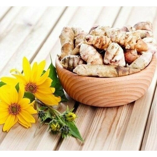   -   (    0,5 ) /   ,  /  , ,   ,   855 