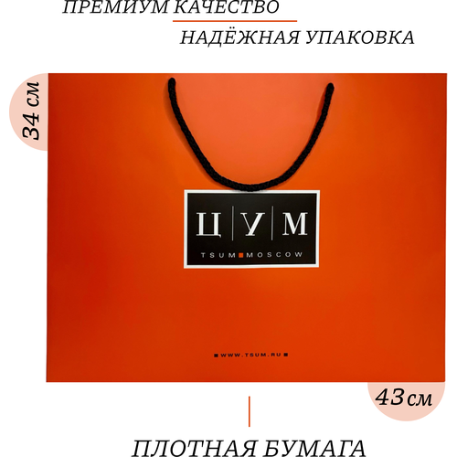 ���� ���������� ����� ��� 34�43 ��, 2 �����, ���������, �������������, ������ �� 975 ���