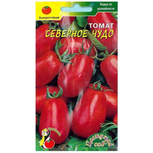 ���� ������ �������� ��� 