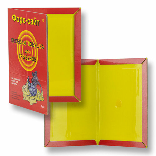 ���� ������� (��������) ������� ������� ��� ��������, ���� � ����� (��������), 2 ��, ������ �� 519 ���