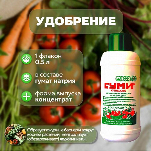 ���� ����������� ����������������� ��������� 