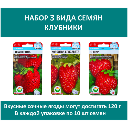 ���� ����� 3 ���� ����� ��������: �������� ���������, ����������, �����, ������ �� 490 ���