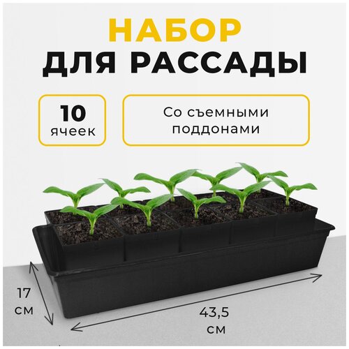 ���� ����� ��� ������� � ��������, 10 ������� �� 0.5 �, ������ �� 619 ���