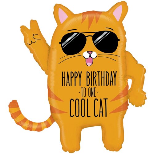   HB TO ONE COOL CAT    -     , -, 