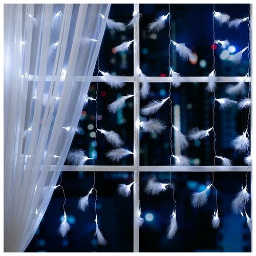 ���� �������� 