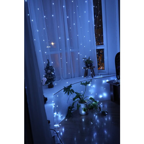 ���� �������� ����� ���� SXLT Company, �������� ����, 2�3 �, ������ �� 430 ���