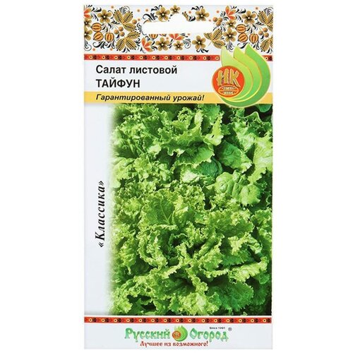 ���� ������. ����� �������� 