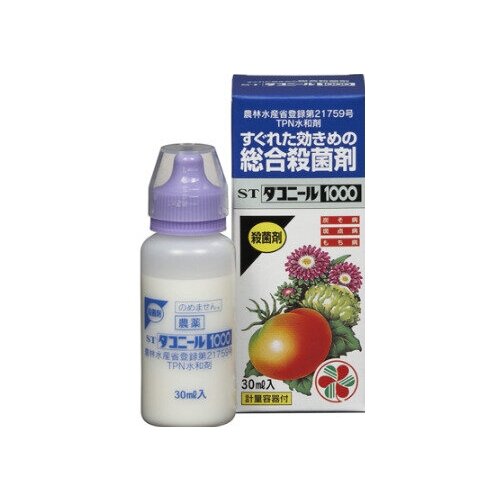 ���� ������� ������ 30 ��, ������ �� 4200 ���