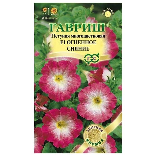 ���� ������. ������� �������������� 