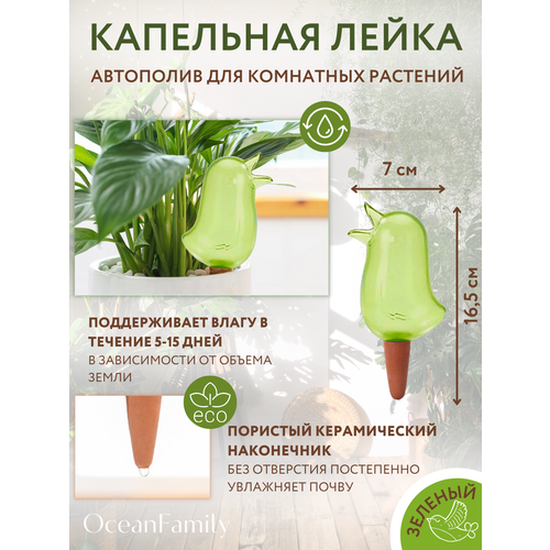 ���� ������� ������ ��������� ��������� ��������, ��������� �����, ������, ��������� �����, ������ �� 340 ���