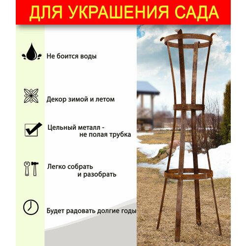 ���� ����� ��� ���� - ����� ��� ��������� ���� / ������� /������� 