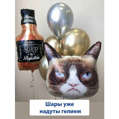 ���� ����� ��������� �����, ������ ����� � ������ �� ���� ��������, ������ �� 2339 ���