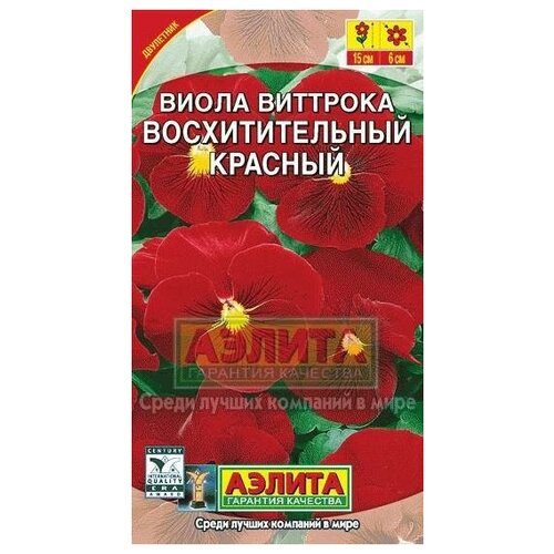 ���� ������. ����� �������� 